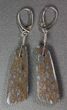 Blue, Agatized Dinosaur Bone (Gembone) Earrings #54095-3